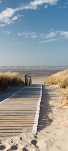 Selbstklebende Tapete Entfernen : Selbstklebende T?rtapete Auf dem Holzweg zum Strand Selbstklebende Tapete Entfernen : Selbstklebende T?rtapete Auf dem Holzweg zum Strand