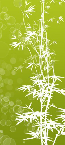 Selbstklebende Tapete Mit Eigenem Motiv : Selbstklebende T?rtapete Bambusmuster gr?n-wei? ? Bild 1 Selbstklebende Tapete Mit Eigenem Motiv : Selbstklebende T?rtapete Bambusmuster gr?n-wei? ? Bild 1